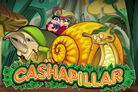 Cashapillar